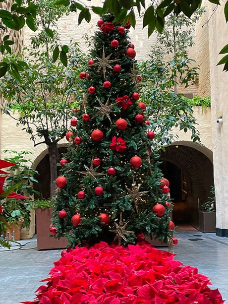 Christmas Tree at the EME Catedral Mercer Hotel