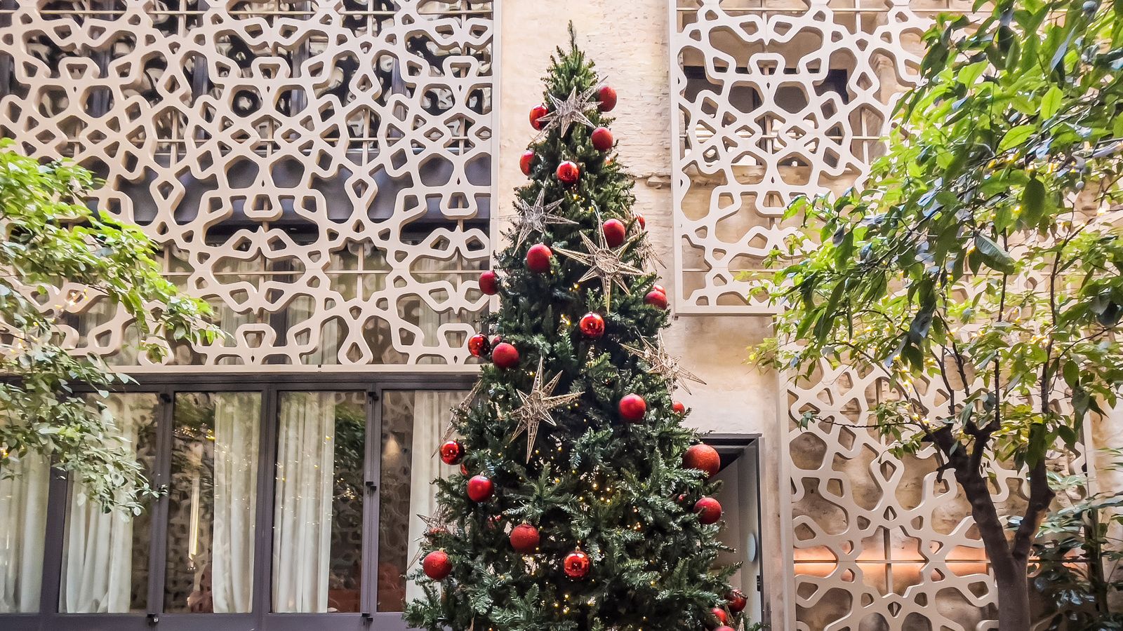 Christmas decoration at the Orange Tree Patio by the Hotel EME Catedral Mercer