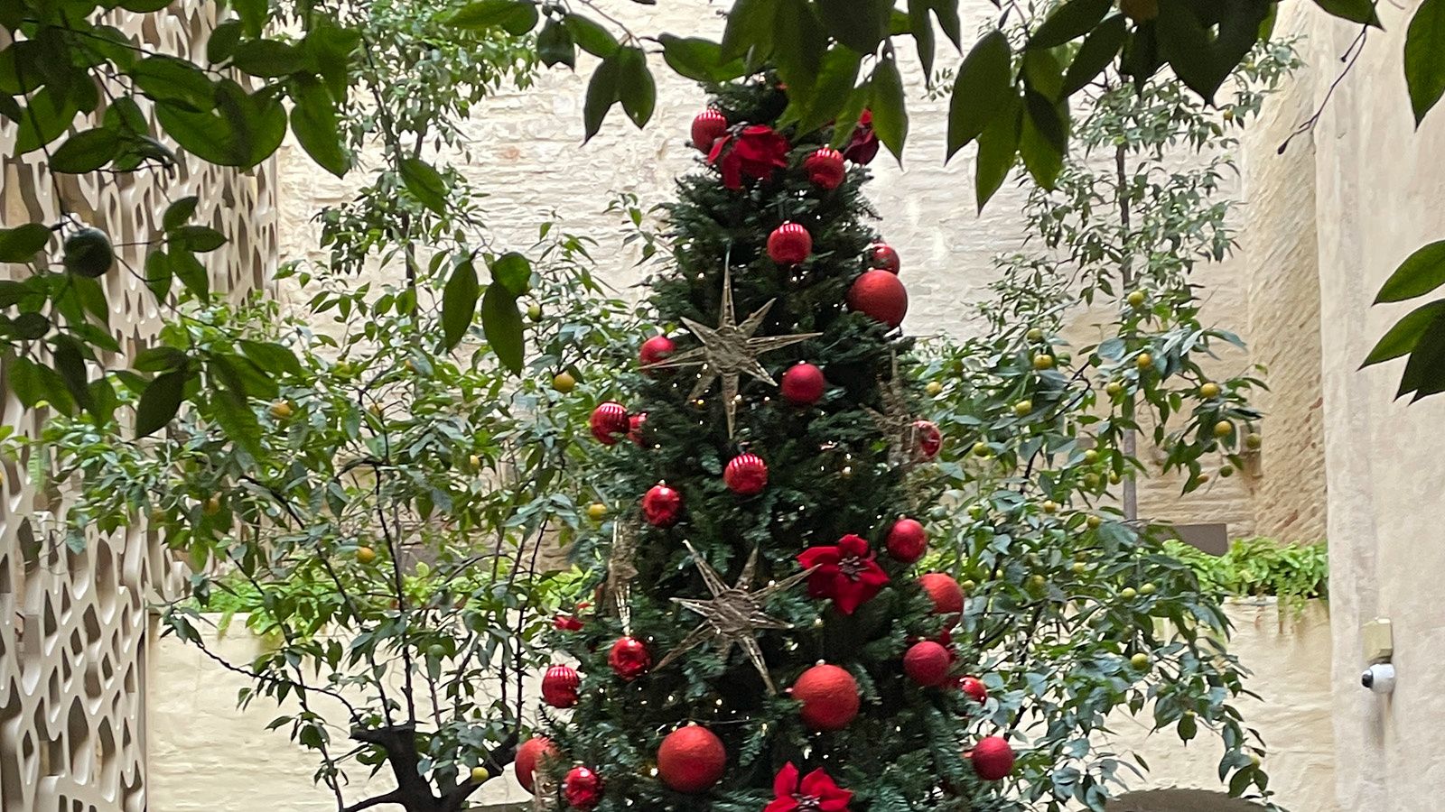 Christmas Decoration at the EME Catedral Mercer Hotel